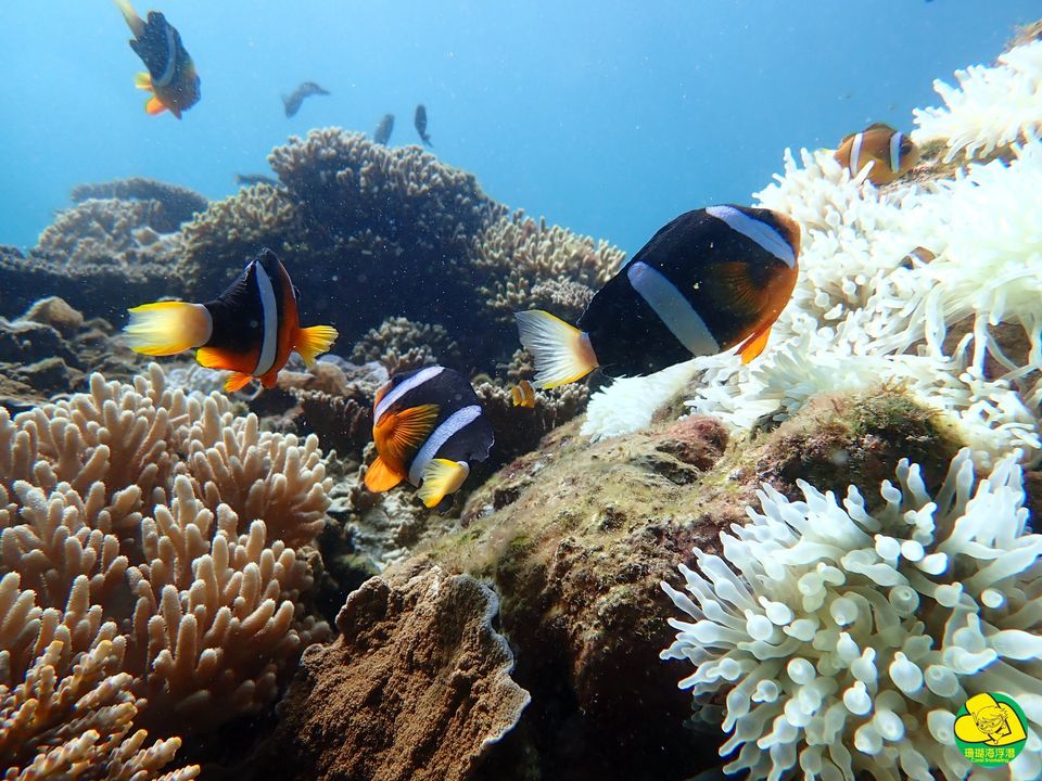 澎湖旅遊-七美一日遊(含機車)